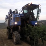 Máquina vendimiadora New Holland VL640 en plena labor en viñedos del Somontano.