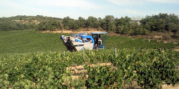 Servicios de Recolección de Uva y cereal.